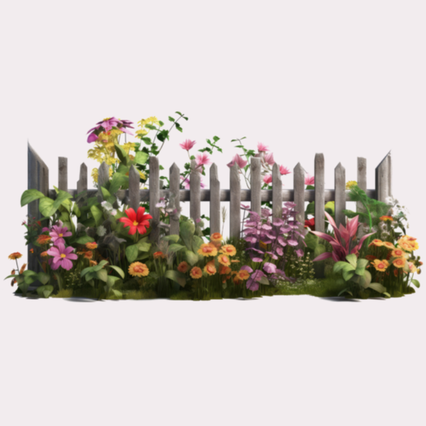Extérieur & Jardin